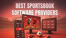 Which sportsbook software platform is ideal for la...