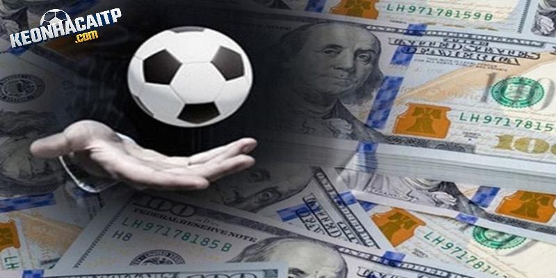 Today’s Bookmaker Odds – View the Standard Sum...